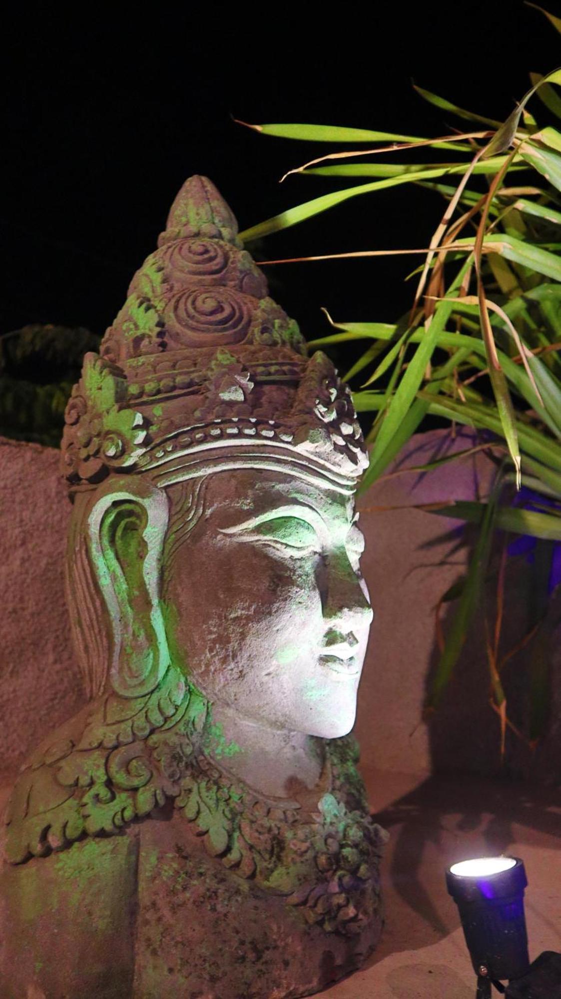 Pranajaya Oasis Villa Tejakula Ngoại thất bức ảnh